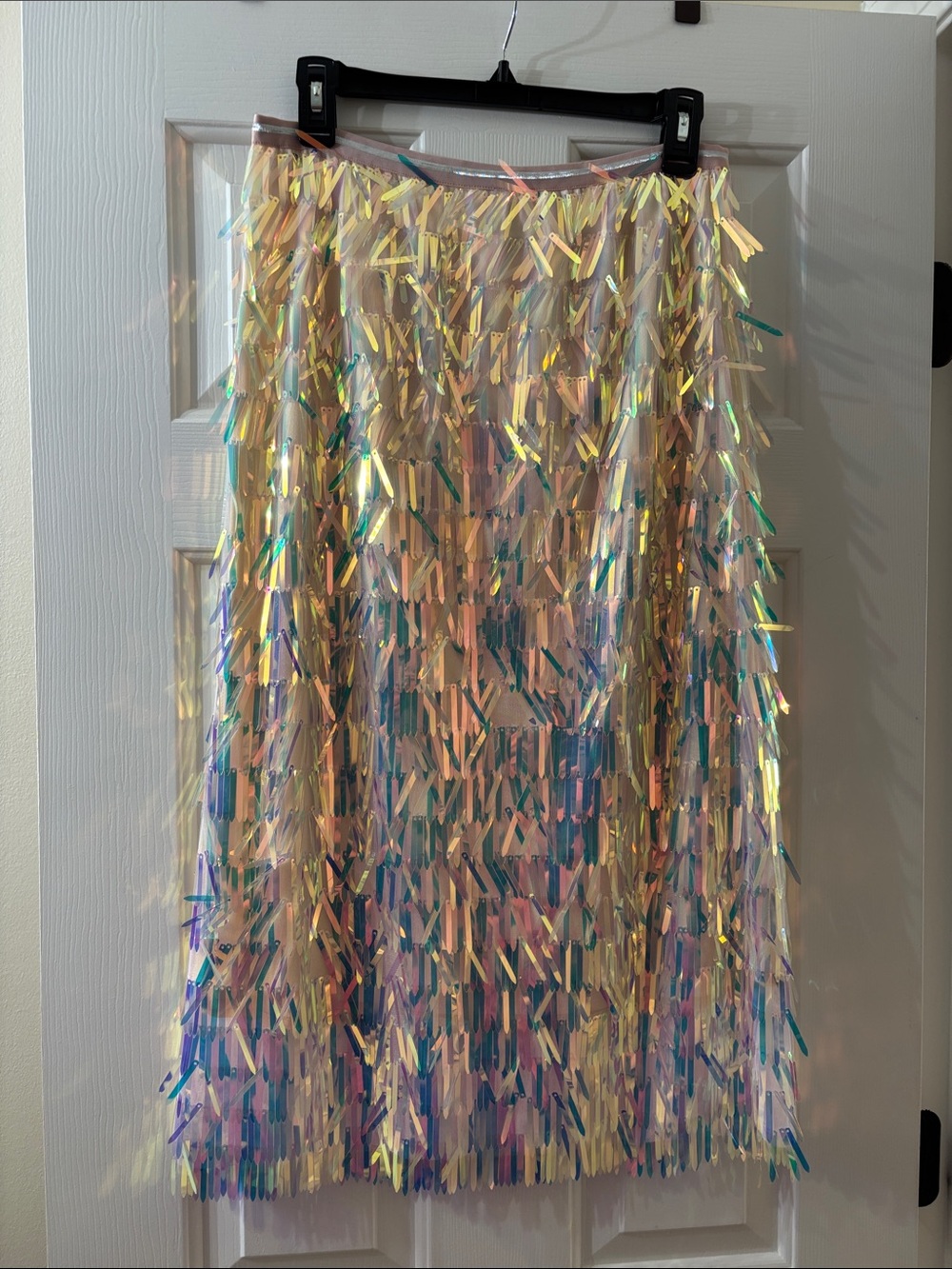 Endless Rose Sequin Skirt